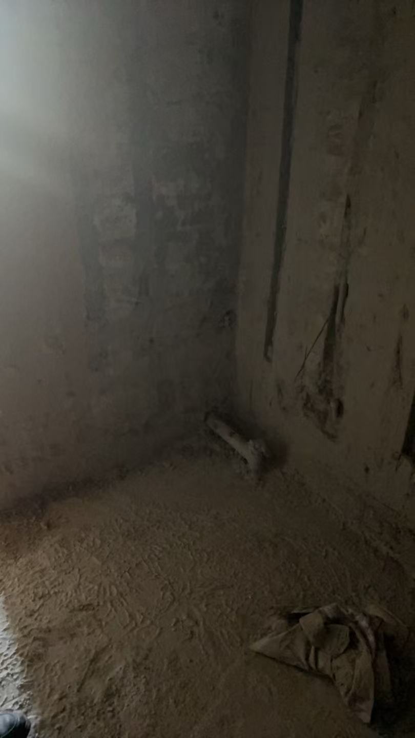 孔雀苑 工地现场